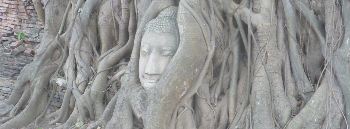 Budda, Yoga, Thailand, Yogabaum