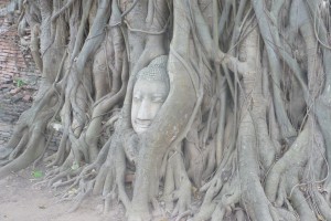 Budda, Yoga, Thailand, Yogabaum